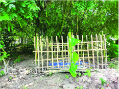 Image of মো: বকুল মিয়া